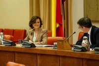 El Gobierno, contra manifestaciones que se adueñan de la bandera de España y arriesgan la salud: Son un peligro
