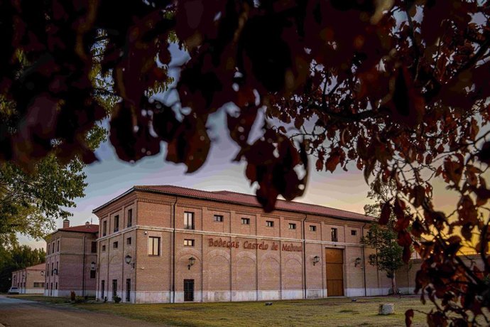 Bodega de Castelo de Medina