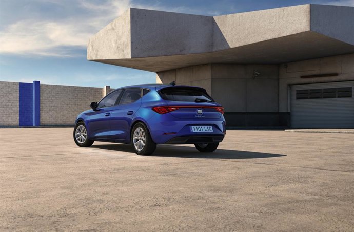 Imagen del nuevo León.