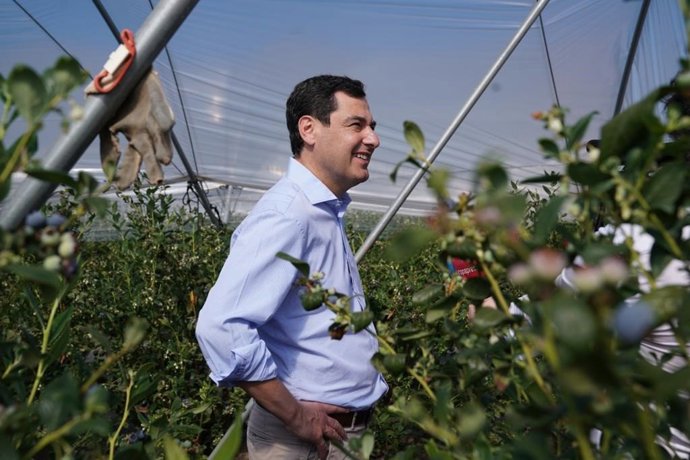 El presidente de la Junta, Juanma Moreno, en una finca de arándanos.