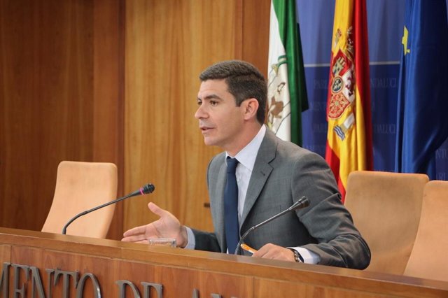 El portavoz parlamentario de Ciudadanos (Cs), Sergio Romero.