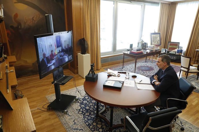 Don Felipe se ha reunido con videoconferencia con los representantes del Instituto de Ingeniería de España