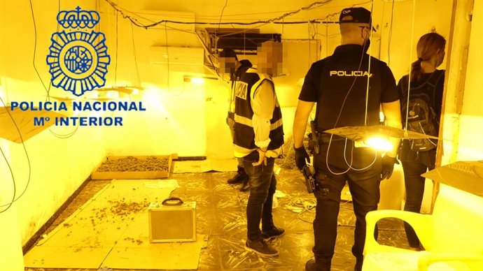 Nota Prensa:"La Policía Nacional Desmantela Un Laboratorio Cultivo De Marihuana Y Detiene A Cuatro Personas"