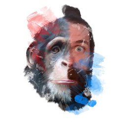 Illustració creada per l'investigador Txema Heredia-Genestar per acompanyar l'estudi