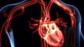 Foto: El COVID-19 puede causar graves complicaciones cardiovasculares