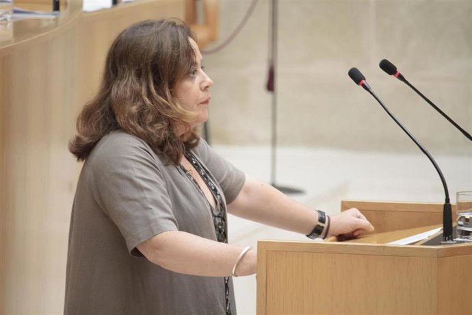 La diputada de IU en La Rioja, Henar Moreno Martínez, durante su intervención en la segunda sesión del debate de investidura de la candidata socialista, Concha Andreu, a la Presidencia de La Rioja.