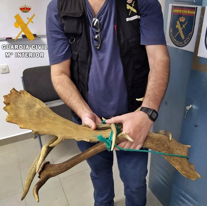 [Grupoextremadura] Rdo. Nota De Prensa