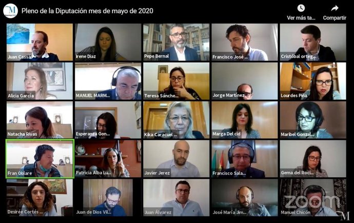 Pleno telemático de la Diputación de Málaga del mes de mayo con Juan Cassá que ha ejercicio en las primeras votaciones como portavoz de Ciudadanos