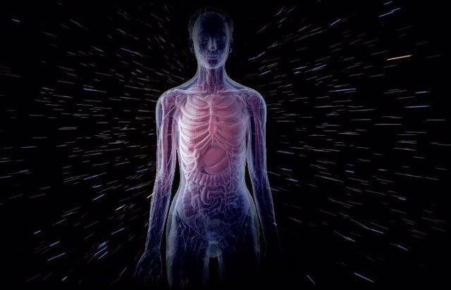 Impacto de los rayos cósmicos en el cuerpo humano