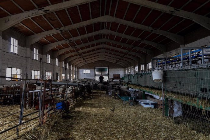 Establos de la empresa ganadera Lechal Colmenar, una ganadería que se ha visto obligada a modificar su manera de trabajar por la pandemia del Covid-19 y ahora reparten cordero lechal autóctono de Madrid a domicilio, en Madrid (España) .