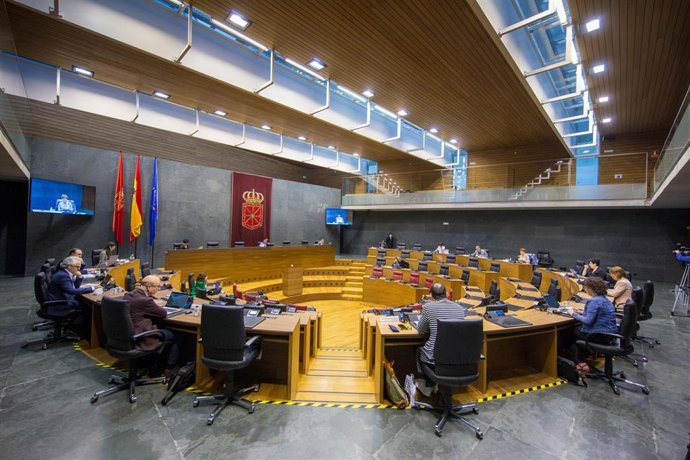 Constitución de la comisión especial del Parlamento para contribuir al Plan Reactivar Navarra
