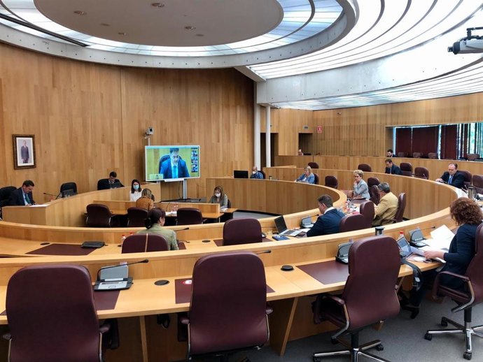 Pleno de la Diputación de Granada