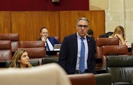 El consejero de la Presidencia, Elías Bendodo, en una imagen de archivo durante el Pleno del Parlamento de Andalucía. 
