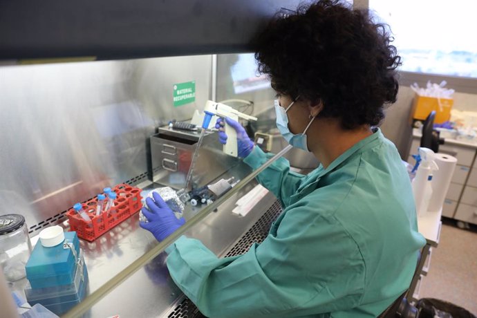 Un biólogo trabaja en un laboratorio del Centro de Biología Molecular Severo Ochoa en el Campus de Cantoblanco de la Universidad Autónoma 