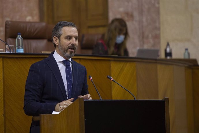 El consejero de Hacienda, Juan Bravo, durante su comparecencia en la sesión plenaria. En el Parlamento de Andalucía, (Sevilla, Andalucía, España), a 20 de mayo de 2020.