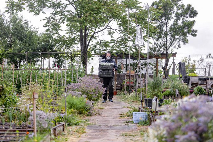 Cvirus.- El Ayuntamiento lanza un plan para que los huertos urbanos donen su pro