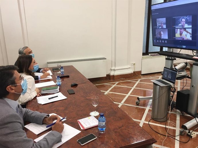 La delegada de la Junta en Málaga, Patricia NAvarro, atiende a agricultores y ganaderos por videoconferencia en una reunión junto al delegado de Agricultura, Fernando Fernández