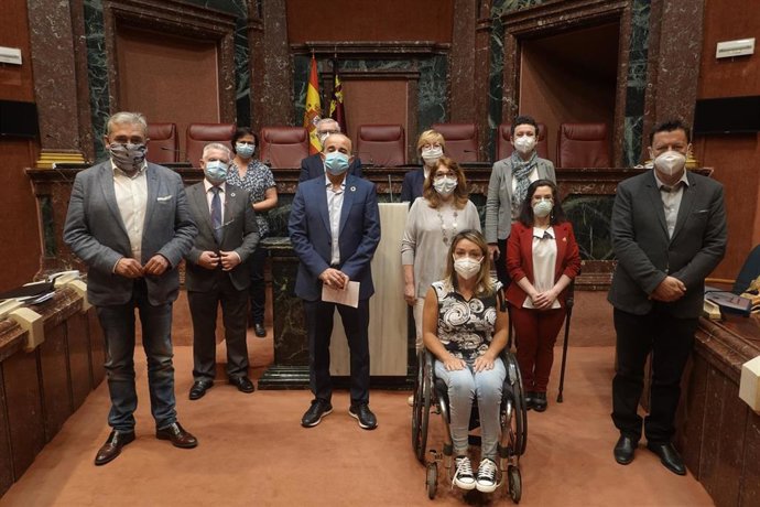 Comisión especial de Discapacidad