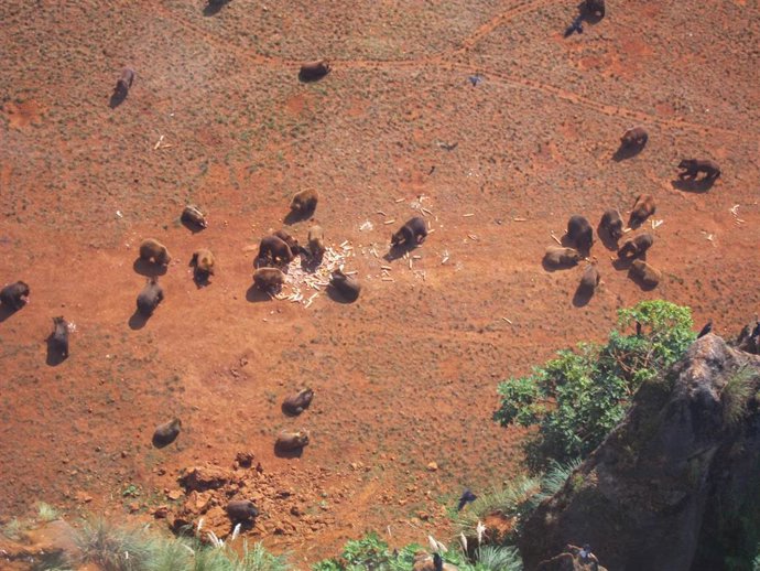 Recinto osos Cabárceno visto desde la telecabina. Archivo.