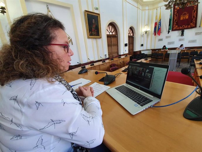 Carmen Yáñez, en una rueda de prensa telemática desde el salón de plenos del ayuntamiento.