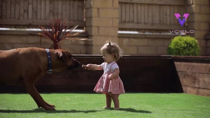 Esta niña con enanismo da sus primeros pasos gracias a la ayuda de su perro