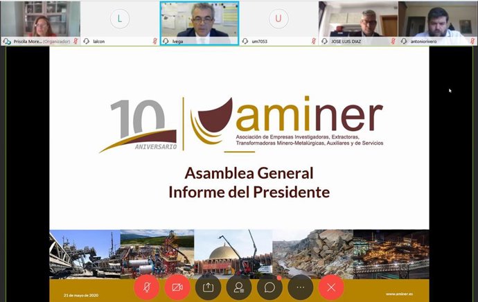 Imagen de la X Asamblea General de Aminer, celebrada este jueves de forma online. 