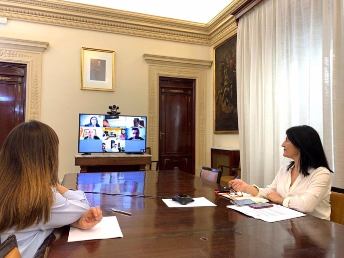 La subdelegada del Gobierno en Granada, Inmaculada López Calahorro, en reunión telemática sobre el PFEA