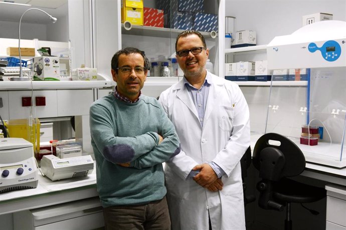 Los doctores Antonio Salas (USC) y Federico Martinón (CHUS), autores de una investigación sobre los 'supercontagiadores' de COVID-19.