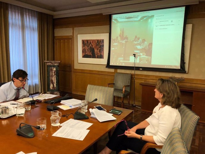 El ministro de Sanidad, Salvador Illa, y la vicepresidenta Teresa Ribera mantienen una videoconferencia con el consejero de Sanidad de la Comunidad de Madrid