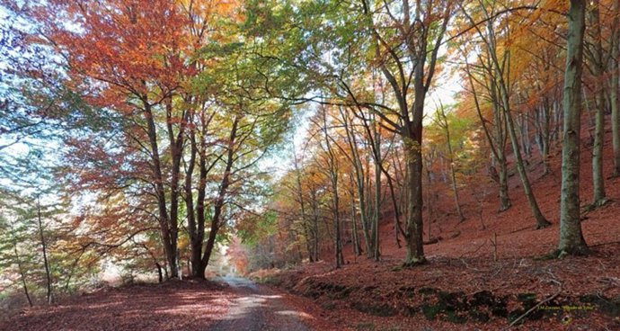 Fotoadictos_larioja inicia una campaña para recaudar fondos para el Banco de Ali