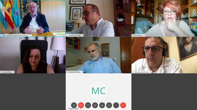 Reunión de trabajo telemática entre la Federación Andaluza de Municipios y Provincias (FAMP) y el Consejo Andaluz de Trabajo Social.