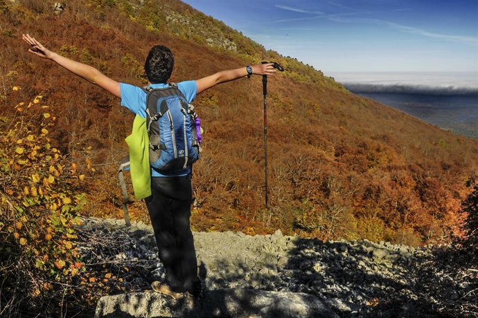 El Gobierno aragonés se suma este año de manera virtual a la celebración de Día 