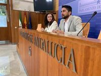 Adelante Andalucía pide "facilitar" la atención médica a personas sordas ante el uso obligatorio de mascarillas