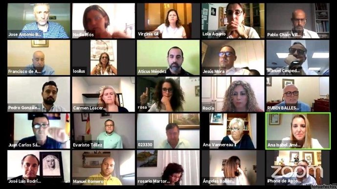 El Pleno del Ayuntamiento de Alcalá de Guadaíra (Sevilla) de forma telemárica este jueves