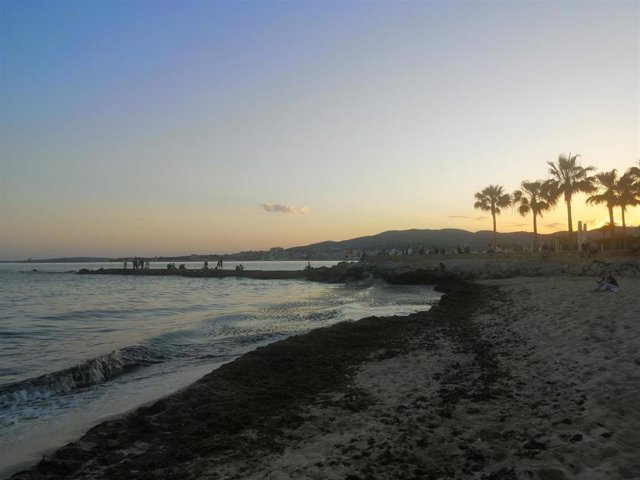 Playa de Palma de Mallorca