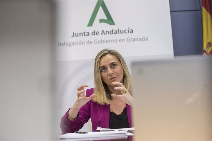 Imagen de la consejera de Fomento, Marifrán Carazo, durante la videoconferencia celebrada este viernes con empresarios y constructores sobre la Ley de Sostenibilidad del Territorio. 