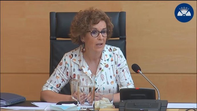 La directora general de Salud Pública, María del Carmen Pacheco, durante su comparecencia en las Cortes de Castilla y León.