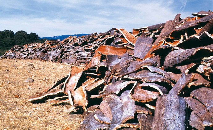 Corcho del interior de alcornocales