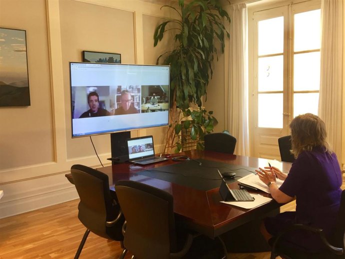 Ana Ollo en la videoconferencia.