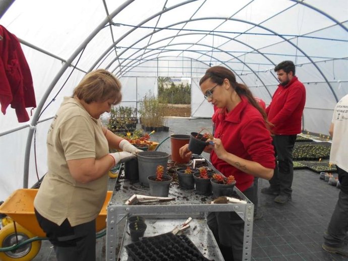 Escuelas Profesionales