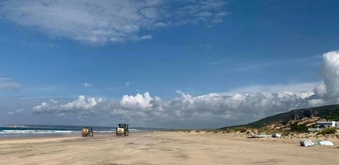 Limpieza con lejía en la playa de Zahara de los Atunes, en la provincia de Cádiz.