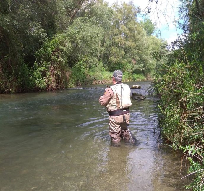 Pescador en un río. Pesca, deporte.