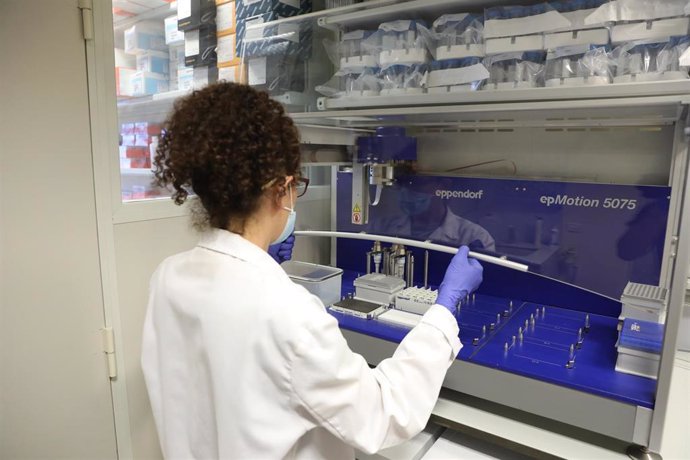 Una bióloga  trabaja con un robot pipeteador para cargar placas de PCR.