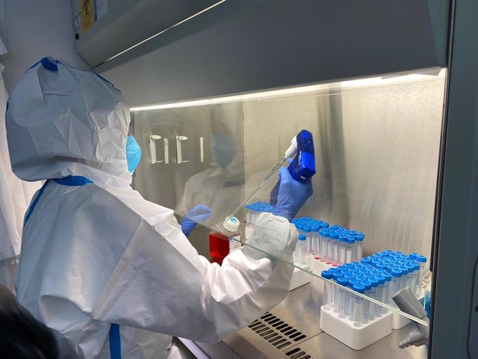 Una de las investigadoras del Laboratorio del ITACyL elaborando uno de los kits para pruebas PCR.