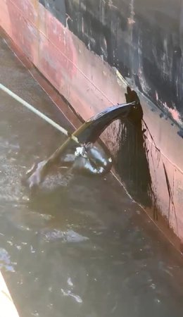 "Vertido" Del Que Alerta Ecologistas En Acción.