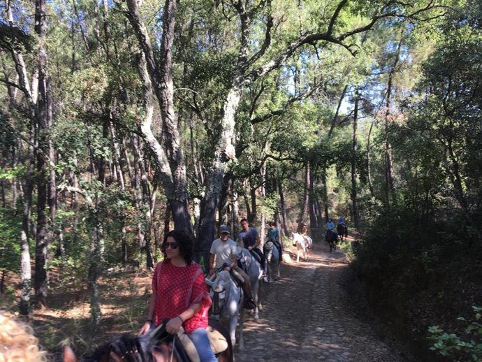 Turistas realizan senderismo por un paraje natural.
