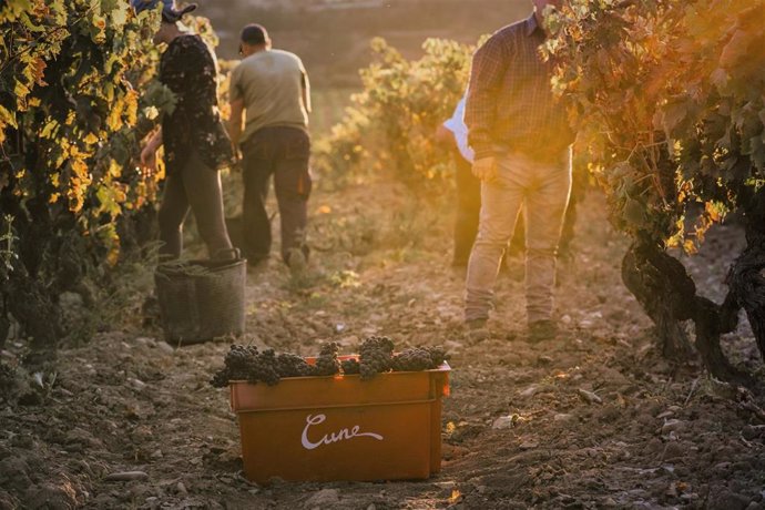 Cvne prevé una cosecha de "alta calidad" para Imperial, Viña Real y Contino en Rioja, pero más "escasa"