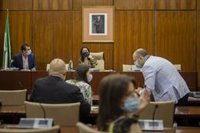 PSOE-A y Adelante dejan la comisión parlamentaria del Covid-19 tras apoyar PP y Cs que la presida Vox