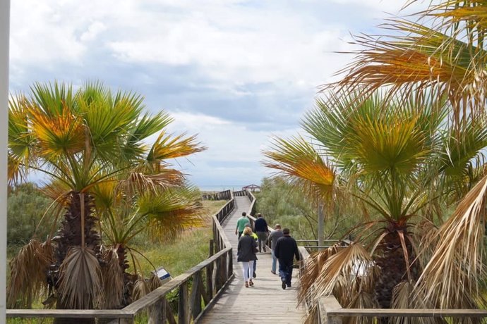 Una de las pasarelas de acceso a la playa de Punta del Moral, en Ayamonte (Huelva)