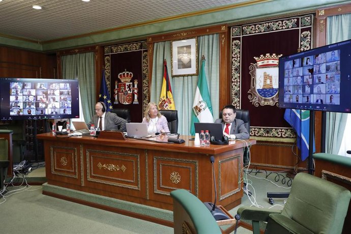 Pleno del Ayuntamiento de Marbella